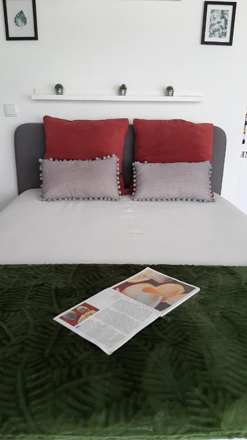 Love' In Aveiro Apartments - Blanc Екстер'єр фото